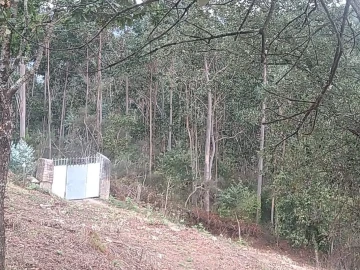 Terreno para Venda em Gandra e Taião