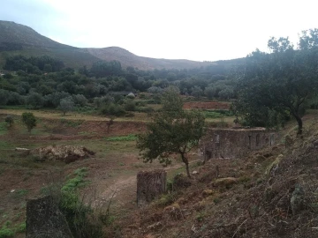 Terreno para Venda em Gandra e Taião