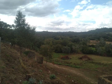 Terreno para Venda em Gandra e Taião