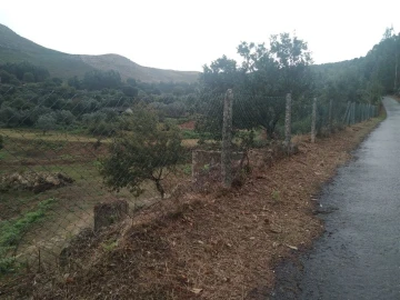 Terreno para Venda em Gandra e Taião