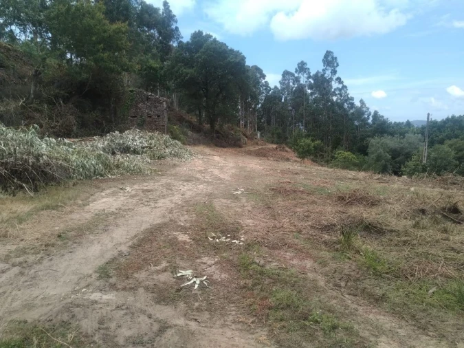 Terreno para Venda em Gandra e Taião Foto 20