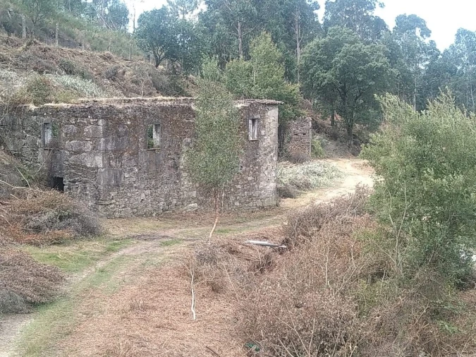 Terreno para Venda em Gandra e Taião Foto 10