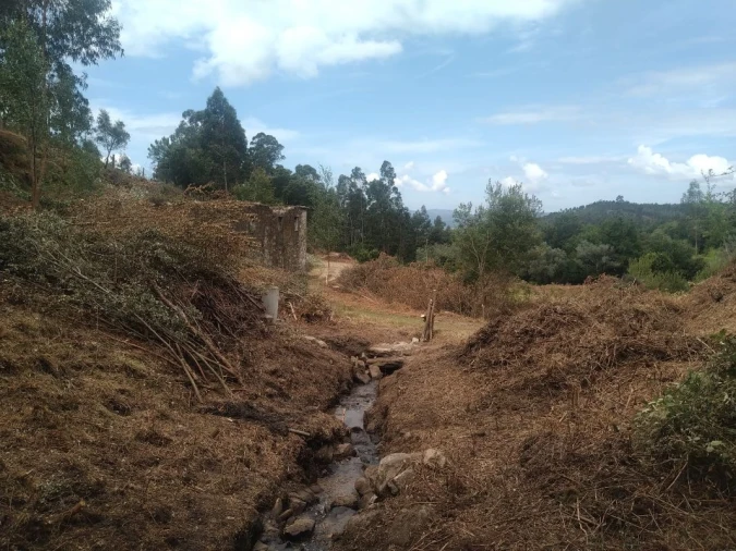 Terreno para Venda em Gandra e Taião Foto 12