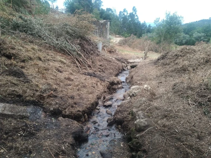 Terreno para Venda em Gandra e Taião Foto 15