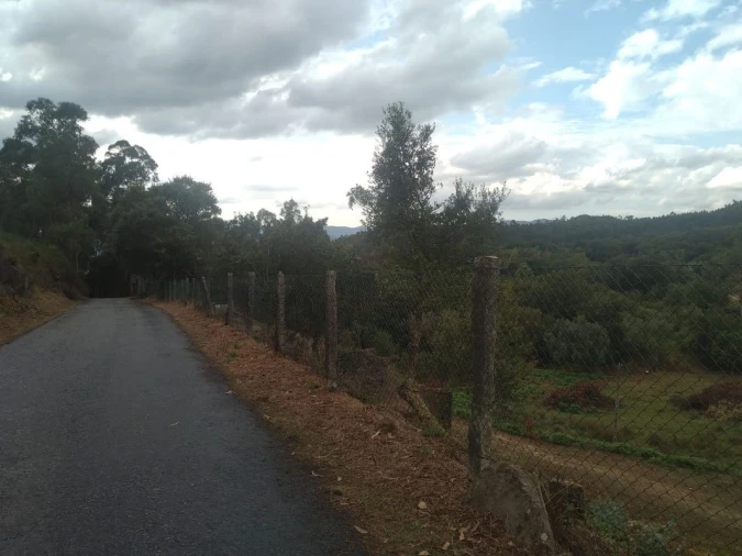 Terreno para Venda em Gandra e Taião Foto 4