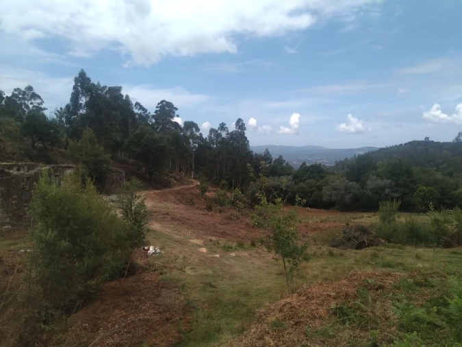 Terreno para Venda em Gandra e Taião Foto 9
