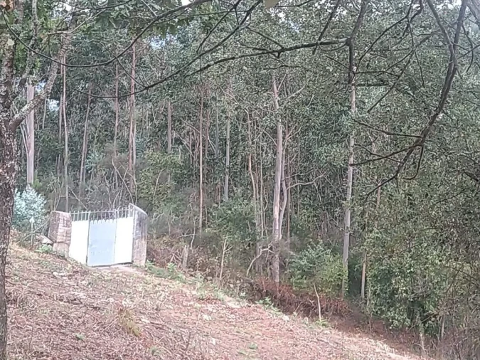 Terreno para Venda em Gandra e Taião Foto 2