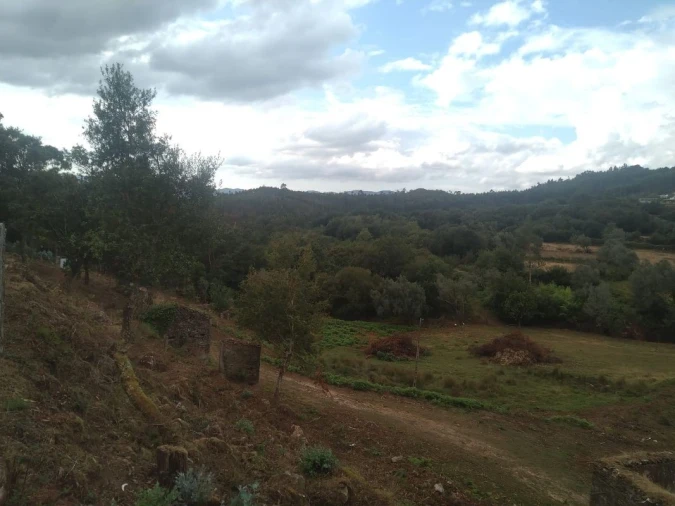 Terreno para Venda em Gandra e Taião Foto 5