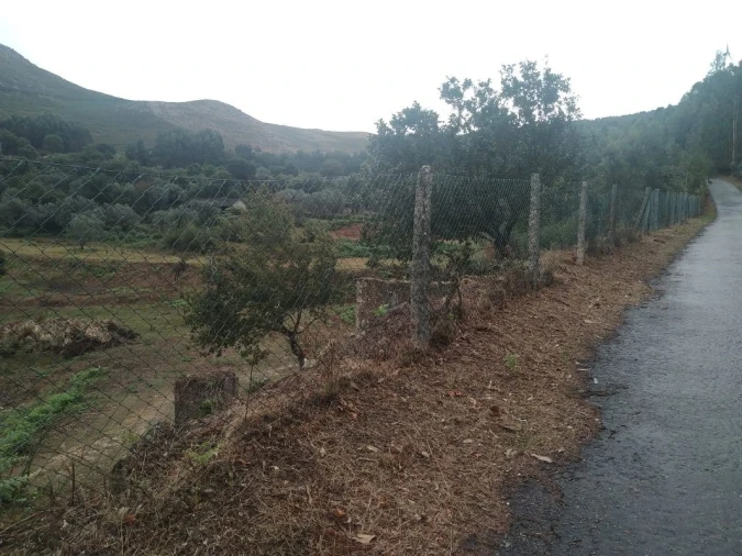 Terreno para Venda em Gandra e Taião Foto 17