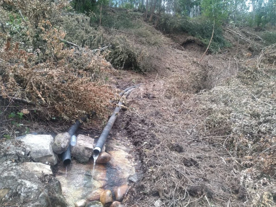 Terreno para Venda em Gandra e Taião Foto 14