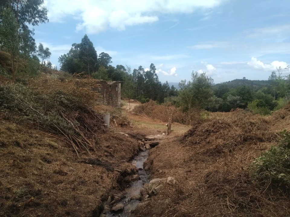 Terreno para Venda em Gandra e Taião Foto 12