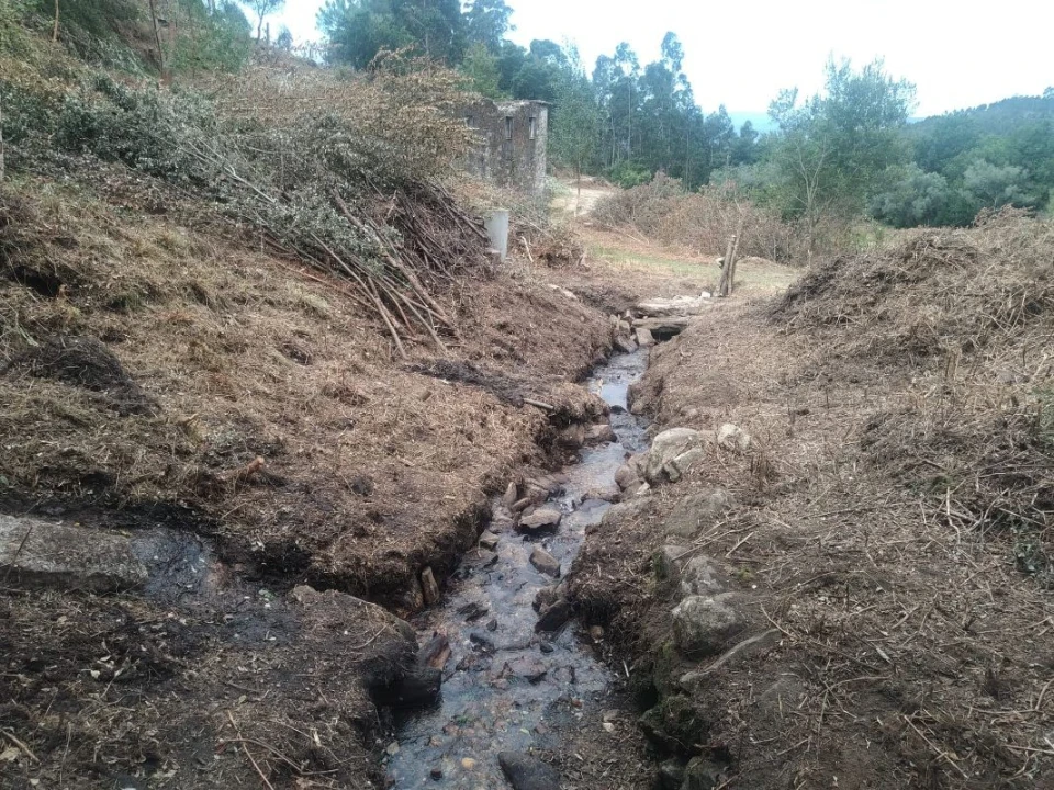 Terreno para Venda em Gandra e Taião Foto 15