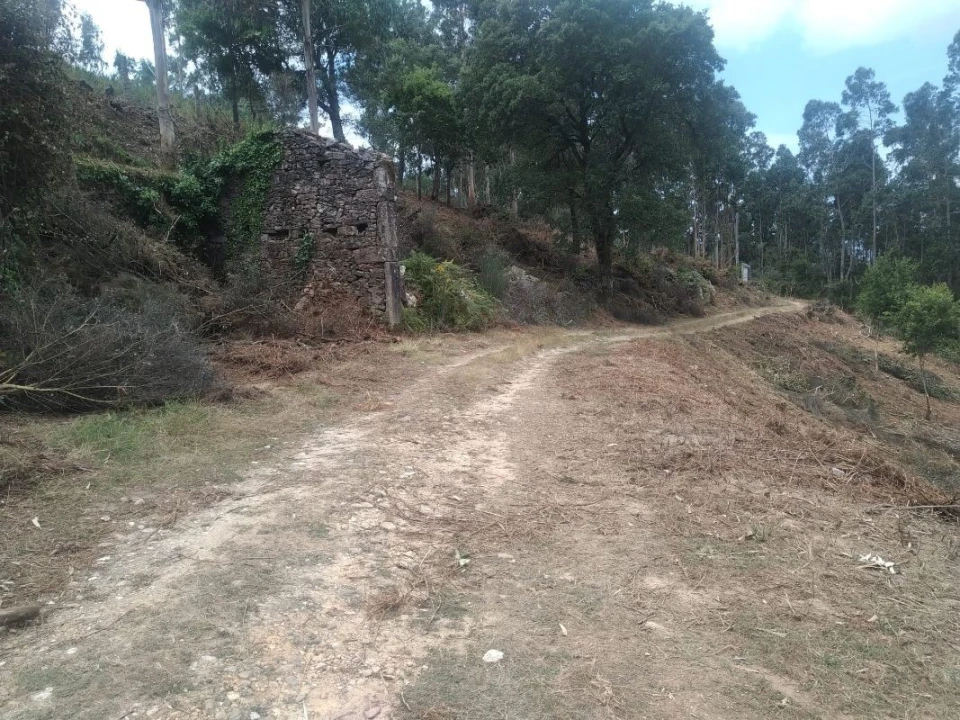 Terreno para Venda em Gandra e Taião Foto 21