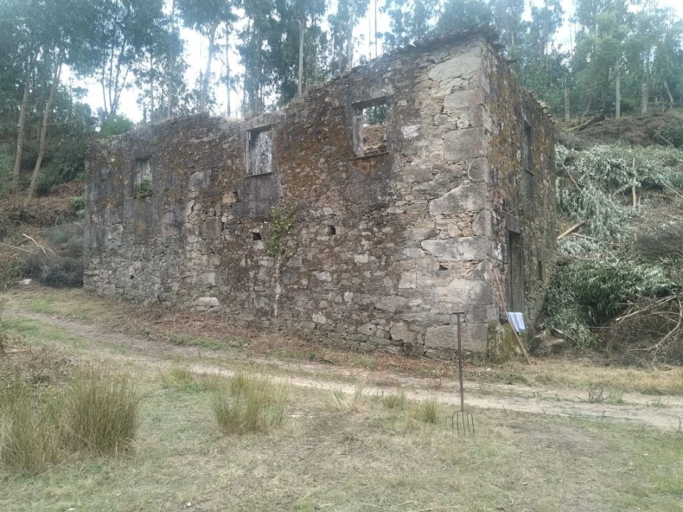 Terreno para Venda em Gandra e Taião Foto 23