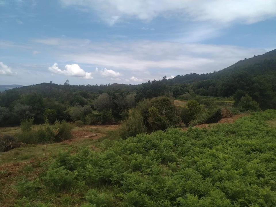Terreno para Venda em Gandra e Taião Foto 11