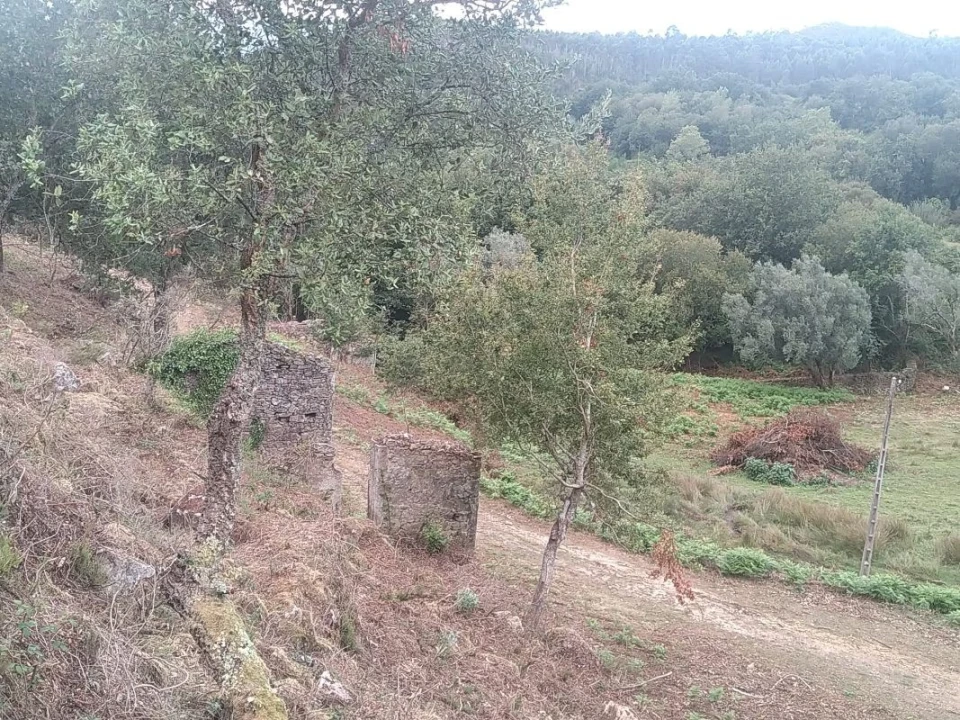 Terreno para Venda em Gandra e Taião Foto 3
