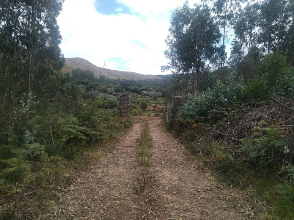 Terreno para Venda em Gandra e Taião Foto 22