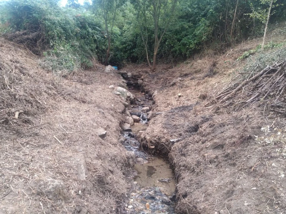 Terreno para Venda em Gandra e Taião Foto 18