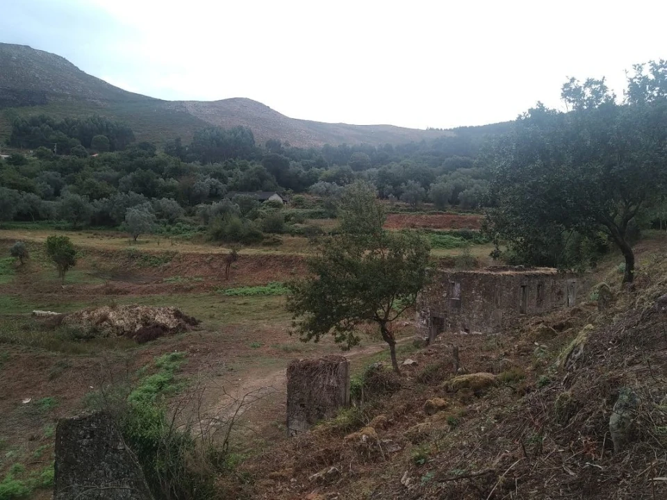 Terreno para Venda em Gandra e Taião Foto 24