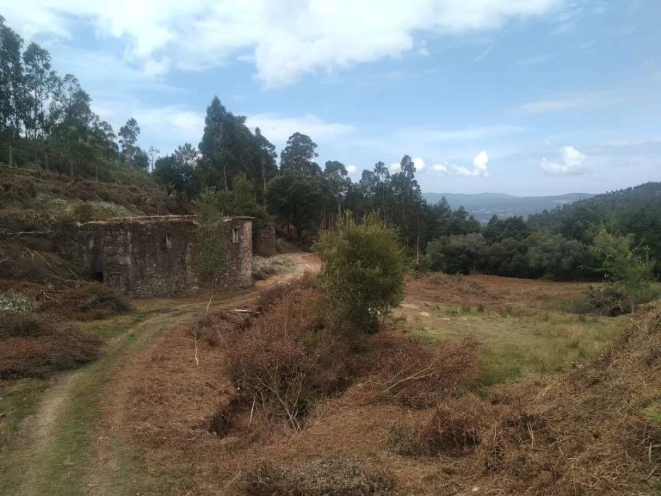Terreno para Venda em Gandra e Taião Foto 13