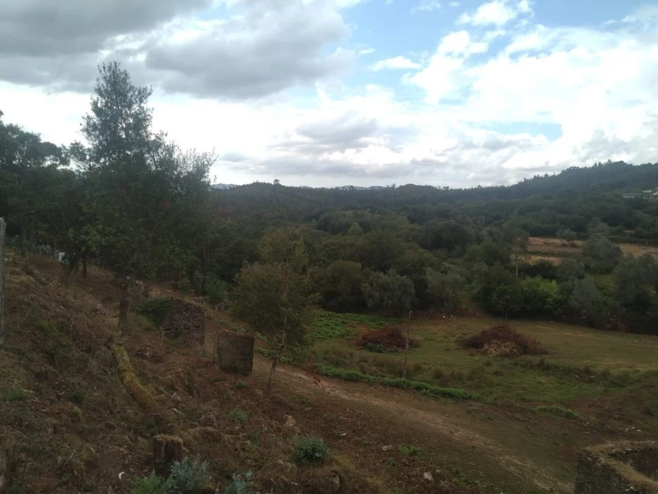 Terreno para Venda em Gandra e Taião Foto 5