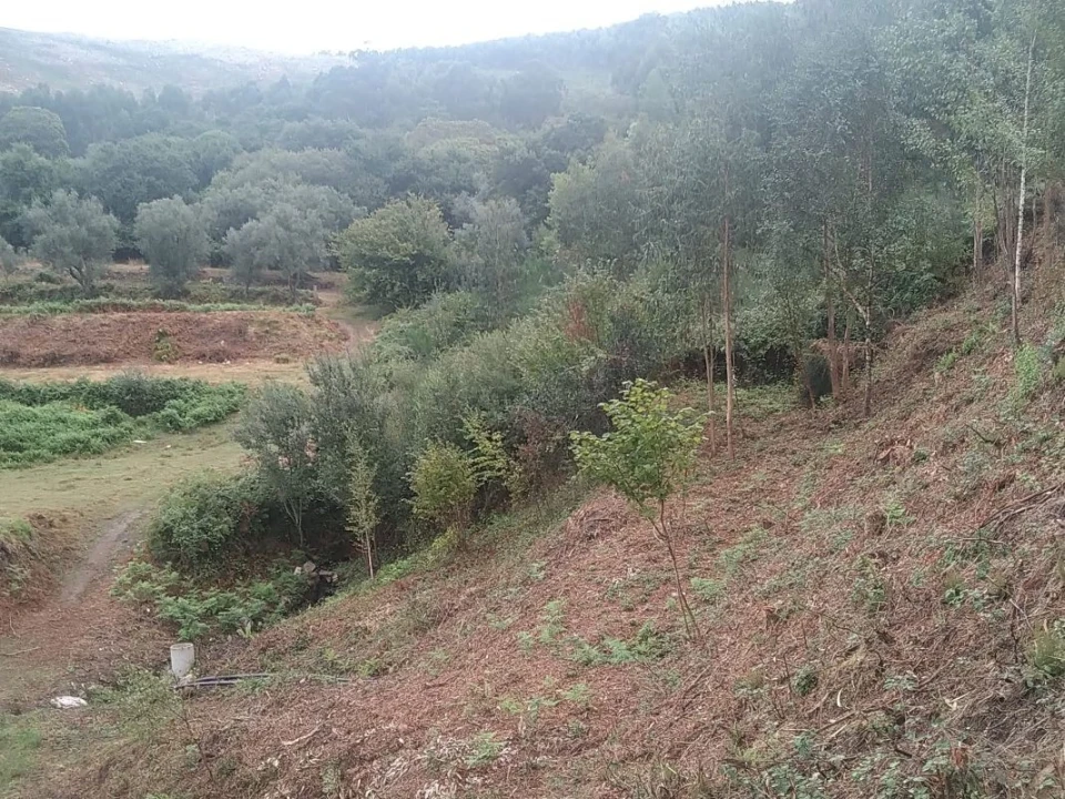 Terreno para Venda em Gandra e Taião Foto 6