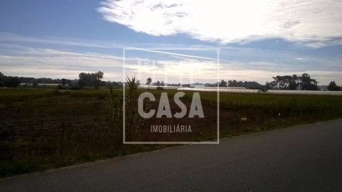 Terreno para Venda em Apúlia e Fão