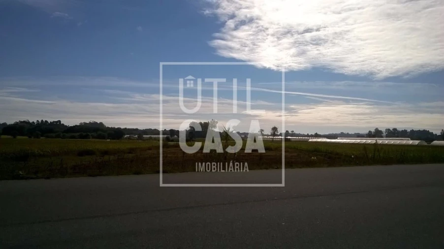 Terreno para Venda em Apúlia e Fão Foto 11