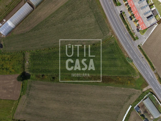 Terreno para Venda em Apúlia e Fão Foto 3