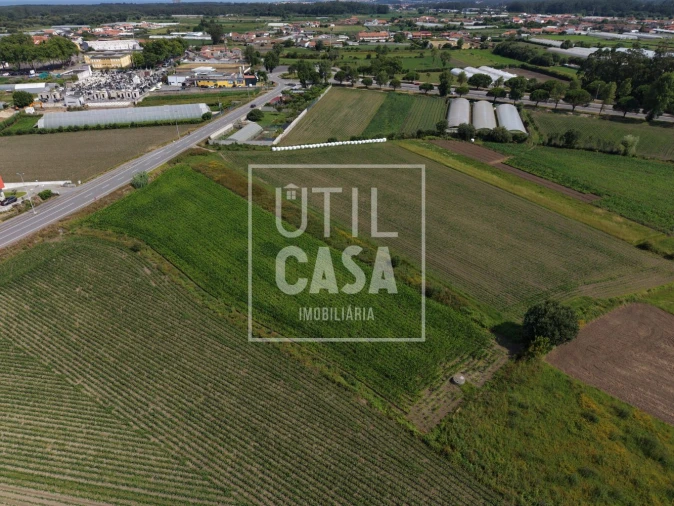 Terreno para Venda em Apúlia e Fão Foto 9
