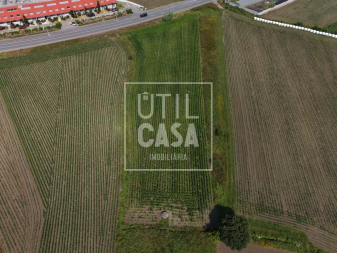 Terreno para Venda em Apúlia e Fão Foto 7