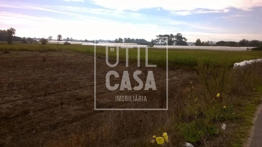 Terreno para Venda em Apúlia e Fão Foto 13