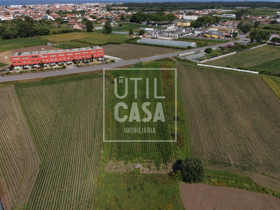 Terreno para Venda em Apúlia e Fão Foto 8