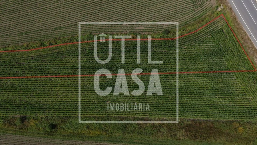 Terreno para Venda em Apúlia e Fão