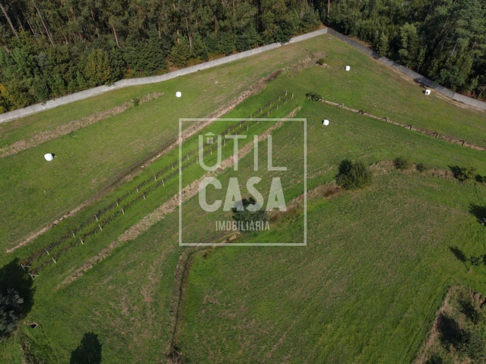 Quinta T4 para Venda em Creixomil e Mariz Foto 19
