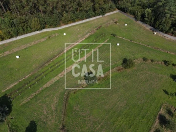 Quinta T4 para Venda em Creixomil e Mariz