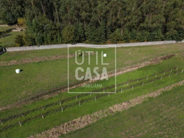 Quinta T4 para Venda em Creixomil e Mariz
