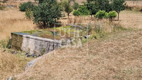 Quinta T4 para Venda em Creixomil e Mariz
