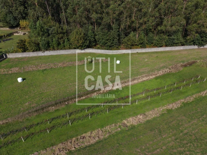 Quinta T4 para Venda em Creixomil e Mariz Foto 20