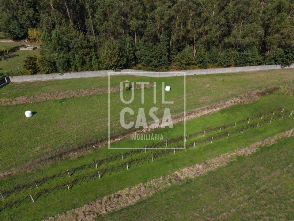 Quinta T4 para Venda em Creixomil e Mariz Foto 20