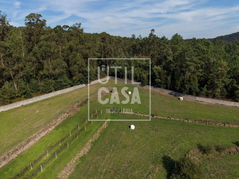 Quinta T4 para Venda em Creixomil e Mariz Foto 21