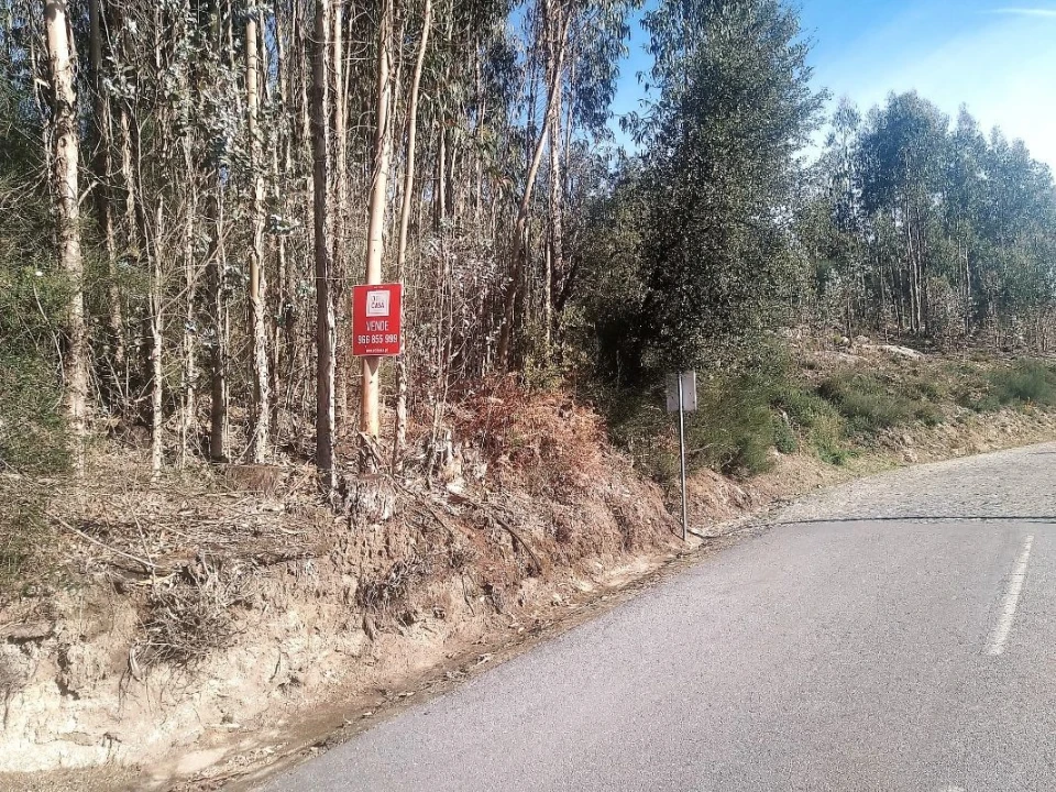 Terreno para Venda em Creixomil e Mariz Foto 1