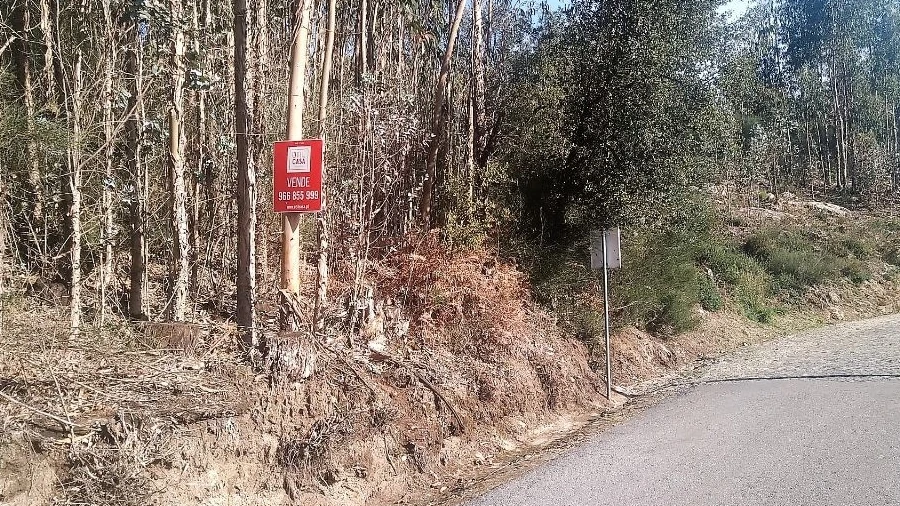 Terreno para Venda em Creixomil e Mariz