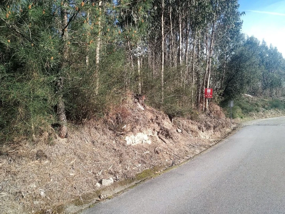 Terreno para Venda em Creixomil e Mariz Foto 3