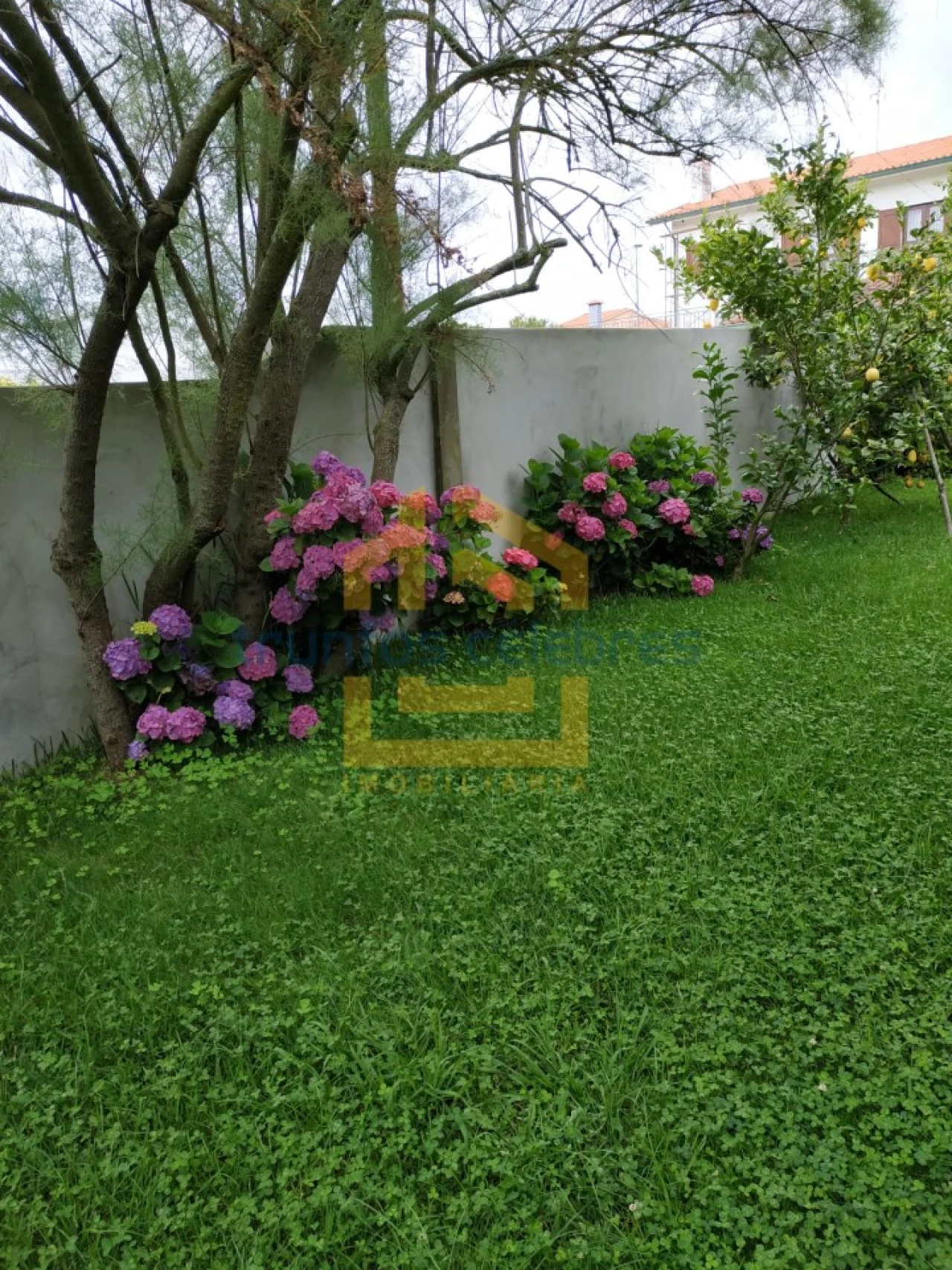 Moradia T4 para Venda em Laundos Foto 38