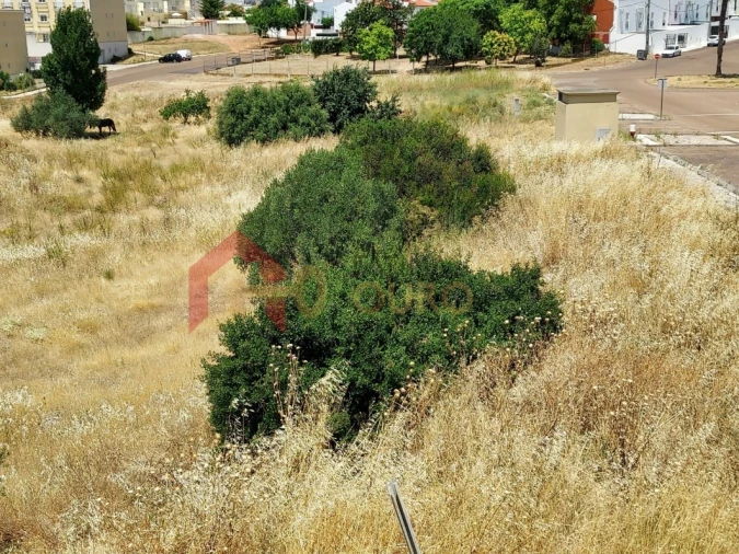 Terreno para Venda em Assunção, Ajuda, Salvador e Santo Ildefonso Foto 4