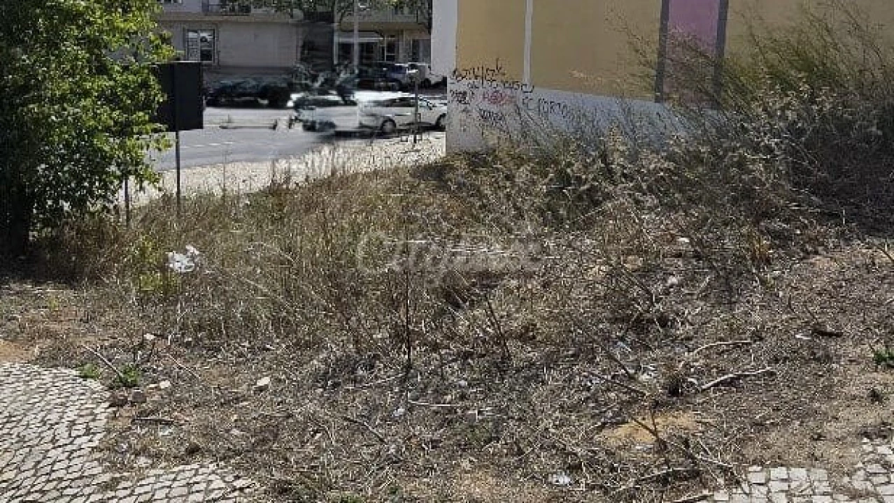 Terreno para Venda em Venteira Foto 2