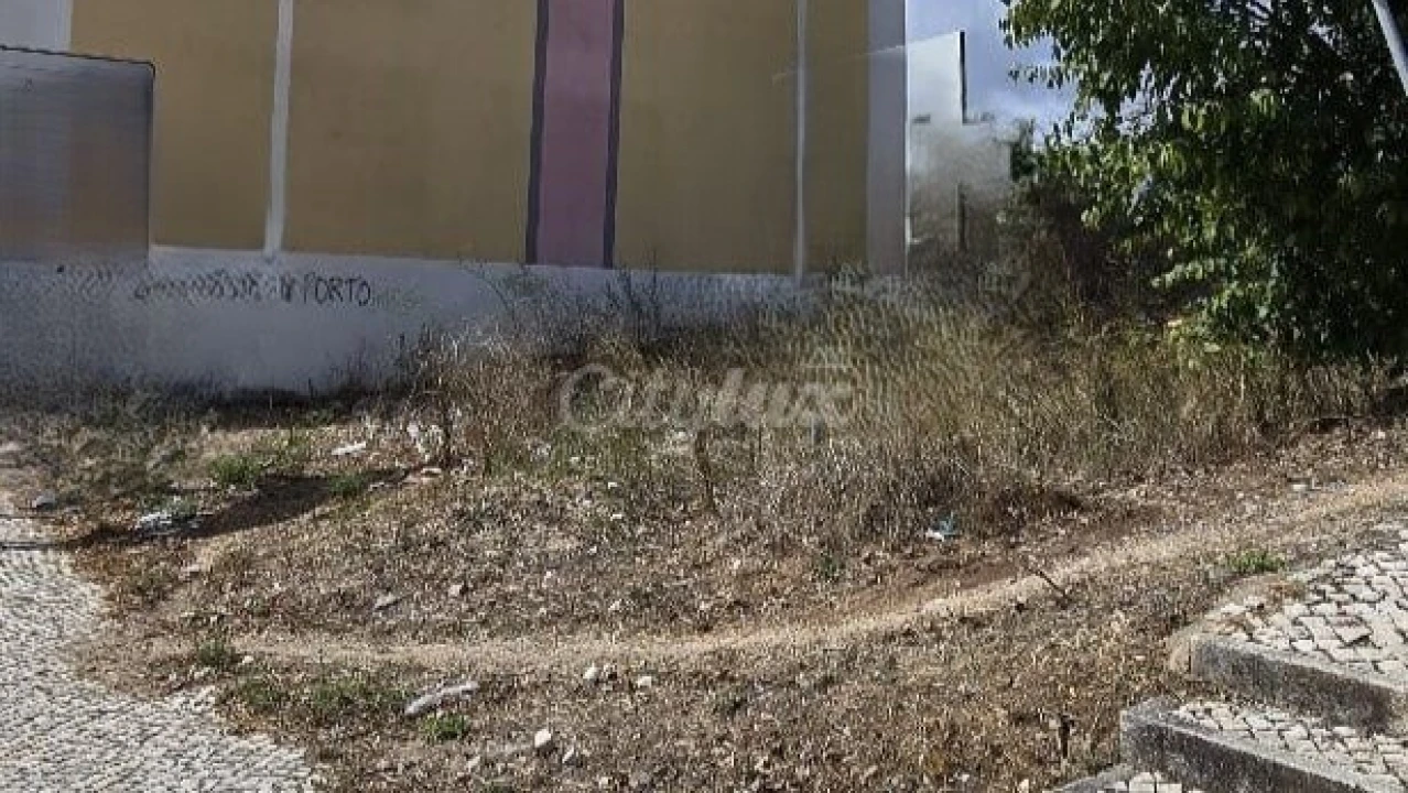 Terreno para Venda em Venteira Foto 3