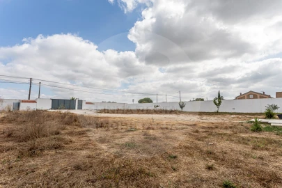 Terreno Agricola ou Rústico para Venda em Poceirão e Marateca