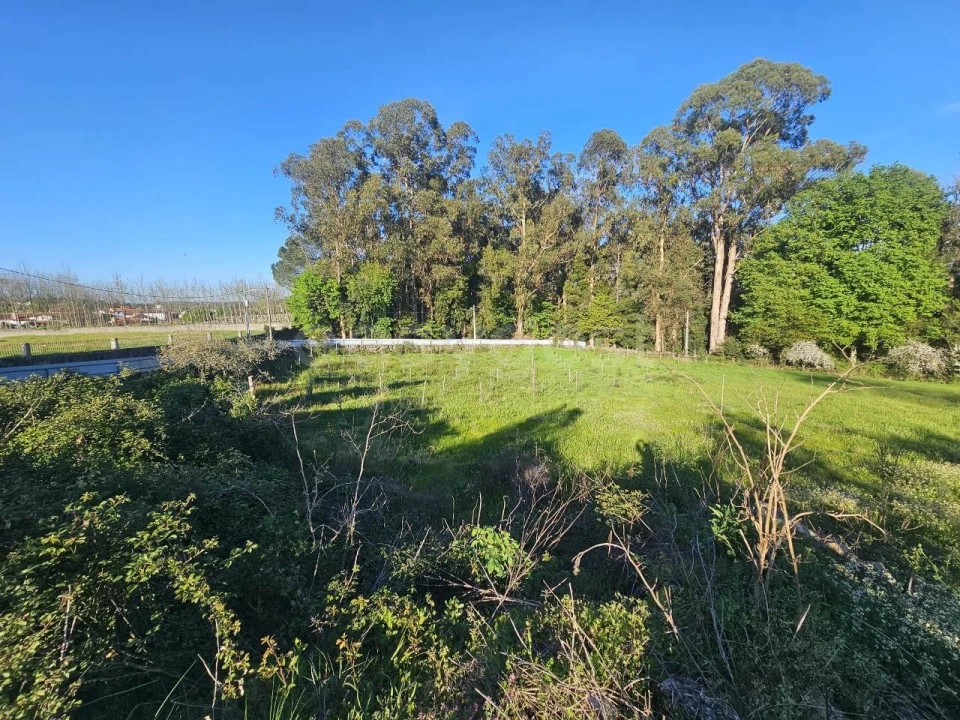 Moradia T3 para Venda em Tondela e Nandufe Foto 27